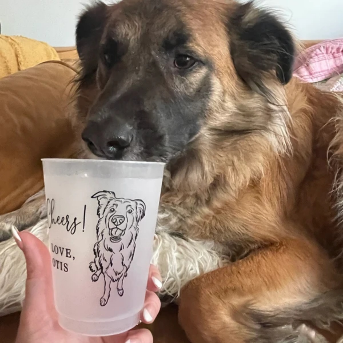 10/50 Custom Dog Cat Pet Portr - Plastic Cup 50Pcs recension och pris